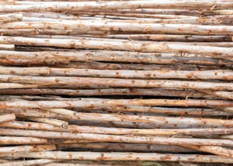Peeling Logs