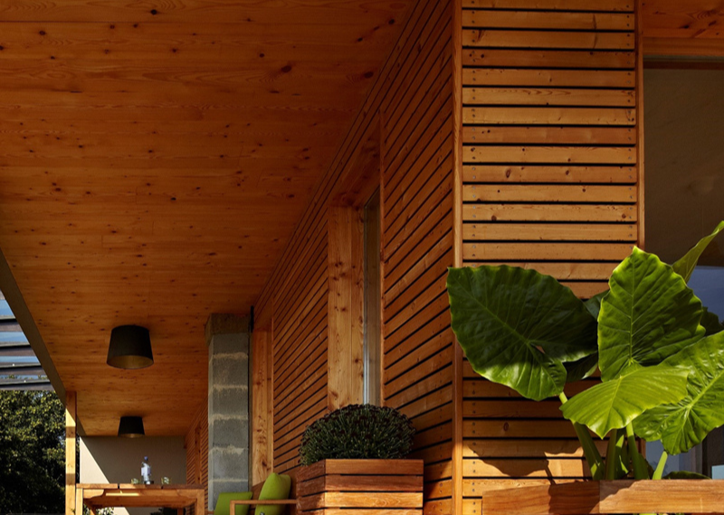 Thermo Pine